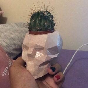 Cactus Vase